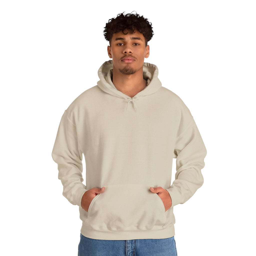 Gym Cat Hoodie — Funny Weightlifting & Workout Hoodie | Fitness Lover Gift