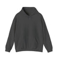 Gym Cat Hoodie — Funny Weightlifting & Workout Hoodie | Fitness Lover Gift